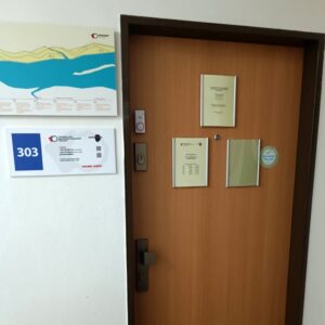 PNZ--vchod-dvere-303