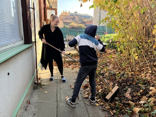 NZDM_CROSS_sbirka_na_zahradu